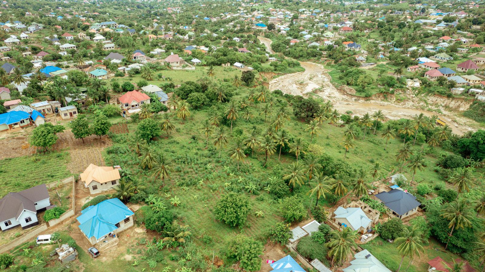 PHOTO-2025-02-11-14-20-51