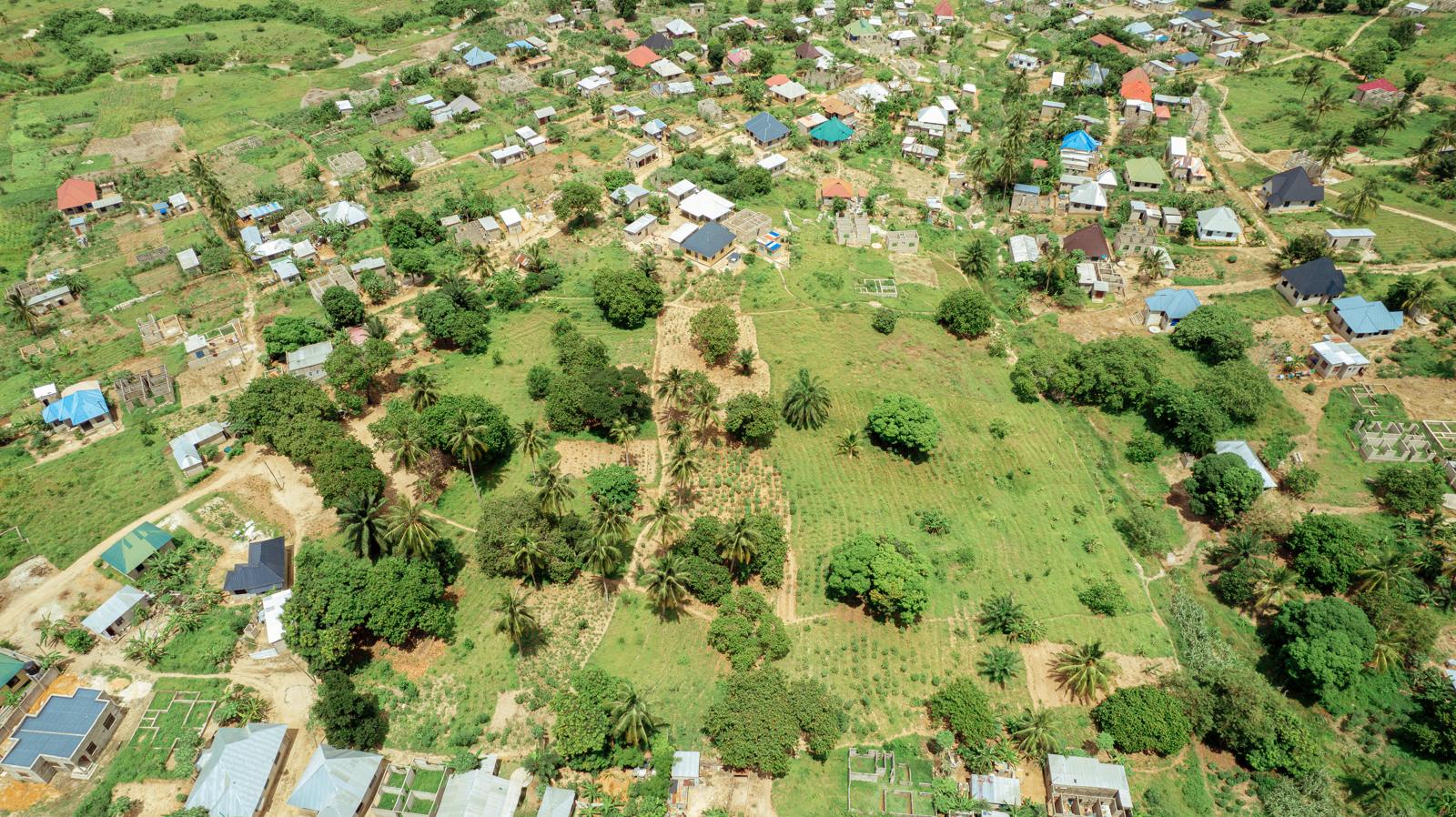 PHOTO-2025-02-11-14-22-15