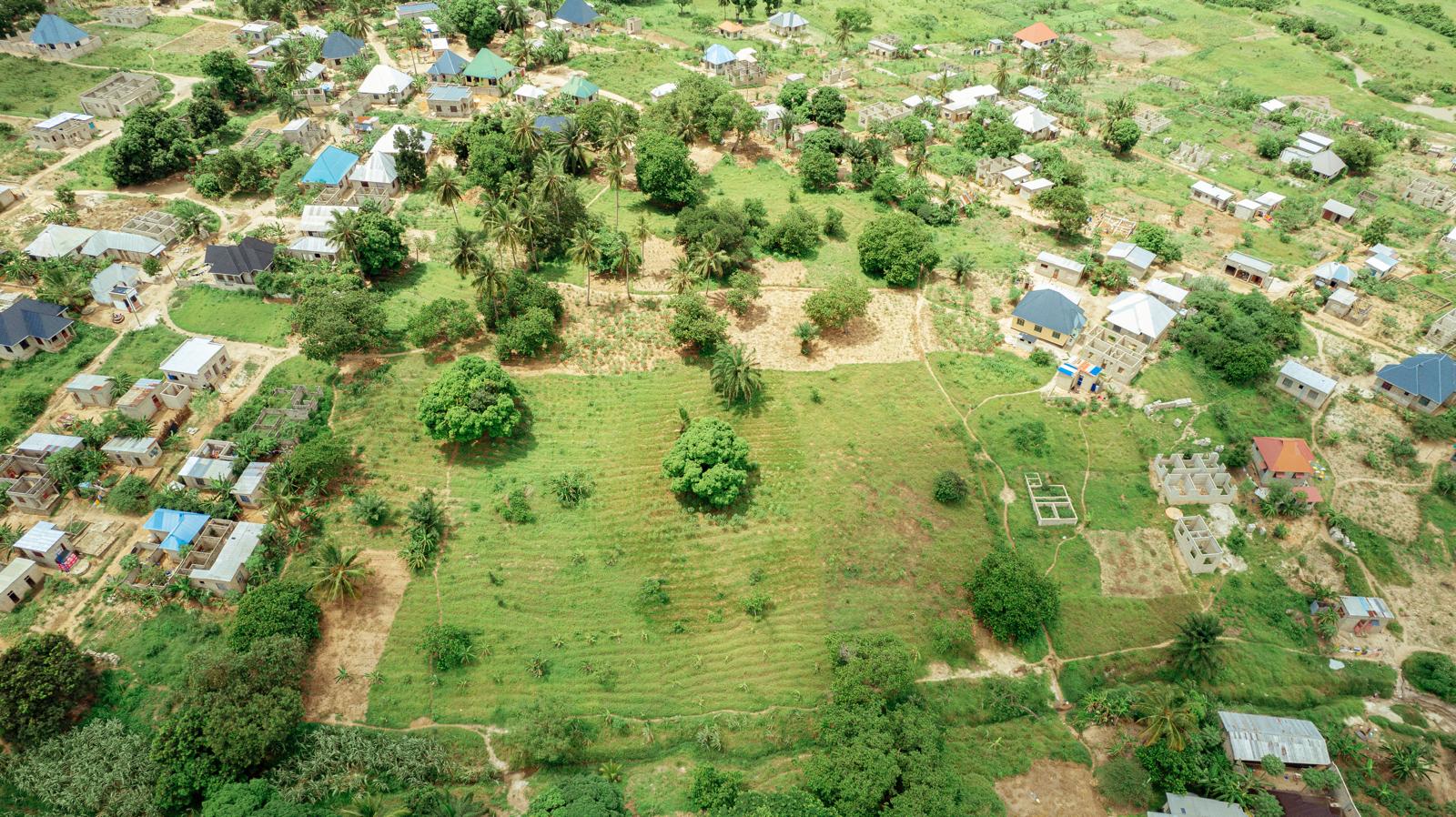 PHOTO-2025-02-11-14-22-42